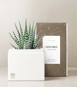 Lula's Garden - Zodiac Gardens - Sagittarius - FedEx - P4545