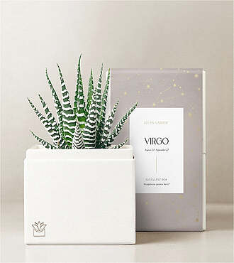 Lula's Garden - Zodiac Gardens - Virgo - FedEx - P4548
