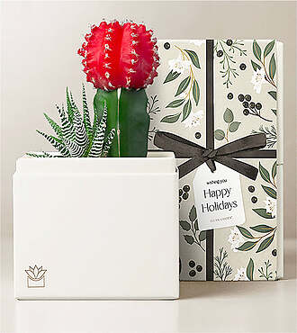 Lula's Garden - Holiday Petite Gardens - Joy Garden - FedEx - P4551