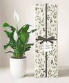 Image of Standard version for Lula's Garden - Holiday Plants - FedEx