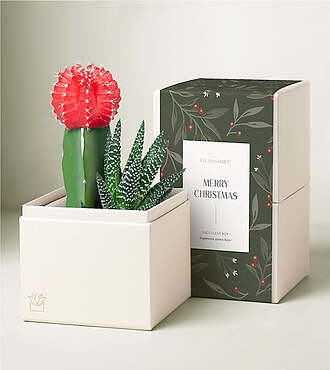Lula's Garden - Christmas Joy Garden