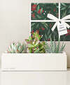 Image of Standard version for Lula's Garden - Christmas Deluxe Gardens - Verdant Garden - FedEx