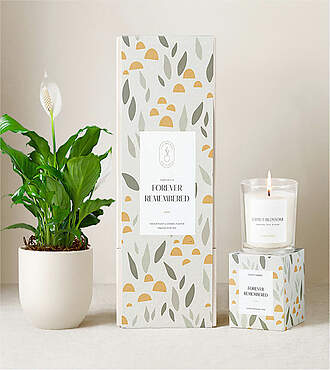 Lula's Peace Lily Plant Gift Set - Forever Remembered - FedEx - P4567