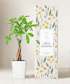 Image of Standard version for Lula's Garden – Forever Remembered Plants - Money Tree - FedEx