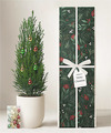 Image of Standard version for Lula's Garden Merry Christmas Mini Tree - FedEx