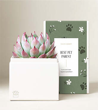 Lula's Bliss Garden - Best Pet Parent - Bliss Garden - FedEx - P4604