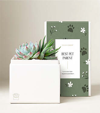 Lula's Bliss Garden - Best Pet Parent - Glow Garden - FedEx - P4605