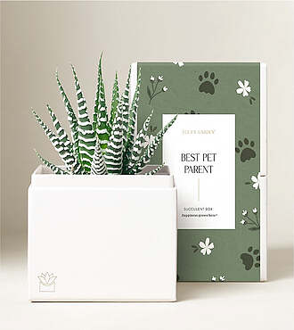 Lula's Bliss Garden - Best Pet Parent - Petite Zebra Garden - FedEx