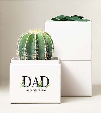 Lula's Cacti Garden - Father's Day - FedEx - P4616