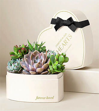 Lula's Heart Garden - Condolences - FedEx - P4617