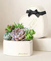 Image of Standard version for Lula's Heart Garden - Condolences - FedEx