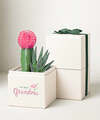 Image of Standard version for Lula's Garden Grandma Rosé Garden - Grandparents' Day - FedEx