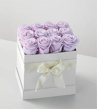 Lavender Forever Rose - 12 Preserved Roses - FedEx - PRLAV12