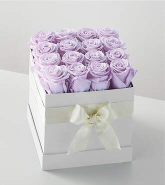 Lavender Forever Rose - 16 Preserved Roses - FedEx - PRLAV16
