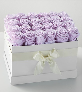 Lavender Forever Rose - 24 Preserved Roses - FedEx - PRLAV24
