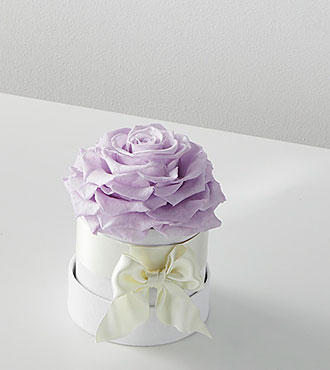 XXX Lavender Forever Rose - FedEx