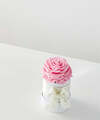 Image of Standard version for Pink Forever Roses - Single Preserved Rose - FedEx