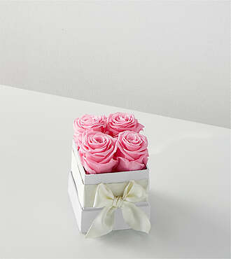 Pink Forever Roses - 4 Preserved Roses - FedEx - PRPINK4