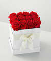 Image of Standard version for Red Forever Roses - FedEx