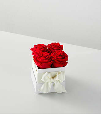 Red Forever Roses - 4 Preserved Roses - FedEx - PRRED4