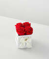 Image of Standard version for Red Forever Roses - 4 Preserved Roses - FedEx