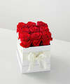 Image of Standard version for Red Forever Roses - 9 Preserved Roses - FedEx