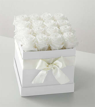 White Forever Roses - 16 Preserved Roses - FedEx