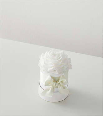 White Forever Roses - FedEx - PRWHT1