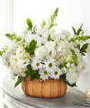 Image of Premium version for Pure Ivory Basket