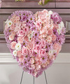 Image of Standard version for Heaven's Light Heart