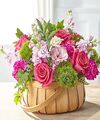 Image of Deluxe version for Radiance in Bloom Basket