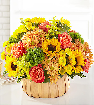 Fall Flowers