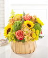 Image of Standard version for Harvest Sunflower Basket