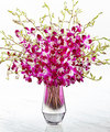 Image of Deluxe version for FTD Pink at Heart Orchid Bouquet