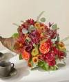 Image of Deluxe version for Autumn Herald Cornucopia