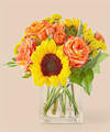Image of Deluxe version for Picnic in the Park Bouquet