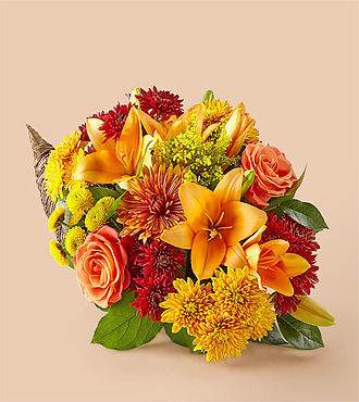 Feast of Color Cornucopia - V5588