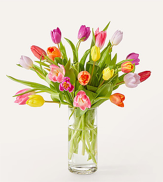 Let's Talk Tulips Bouquet - V5794