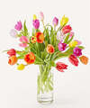Image of Premium version for Let's Talk Tulips Bouquet