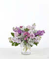 Image of Standard version for One in a Million Bouquet