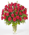 Image of Standard version for Forever Yours Fifty Stem Red Rose Bouquet