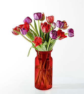 First Kiss Tulips with Red Vase - FedEx