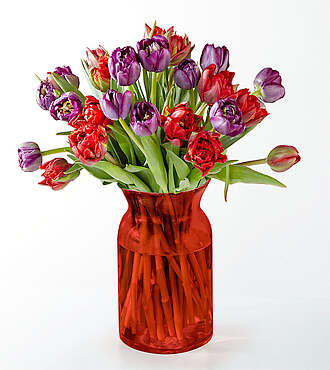 Deluxe First Kiss Tulips with Red Vase - FedEx