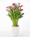 Image of Standard version for My Darling Pink Calla Lily Plant - Fluted Ceramic Container - FedEx