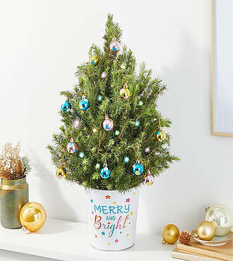 Merry and Bright Mini Tree - FedEx