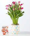 Image of Standard version for Blushing Beauty Calla Lily with Valentine’s Pop Up Card - FedEx