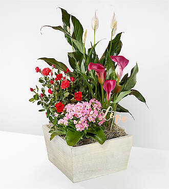 Love You More Garden - FedEx - YAF28