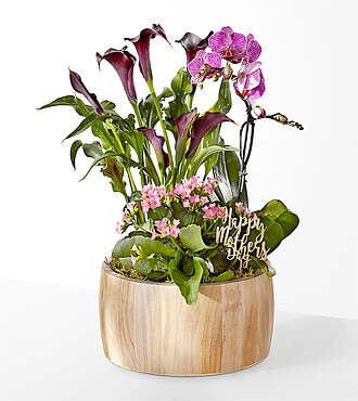 Celebrate Mom Garden - FedEx