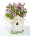Image of Standard version for Lavender Mini Rose in Decorative Birdhouse - FedEx