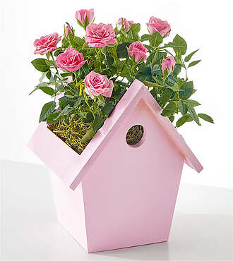 Pink Mini Rose in Decorative Birdhouse - FedEx - YAF50